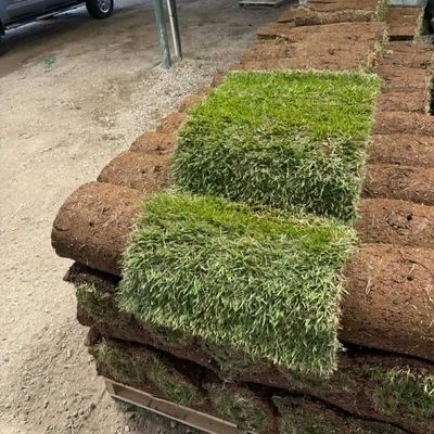 Crowne Zoysia Pallet