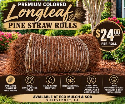 Premium Colored Longleaf Pine Straw Rolls