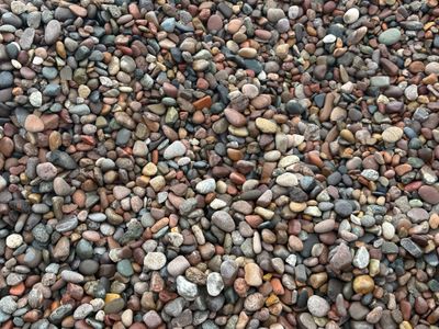 Multi Color Beach Pebbles