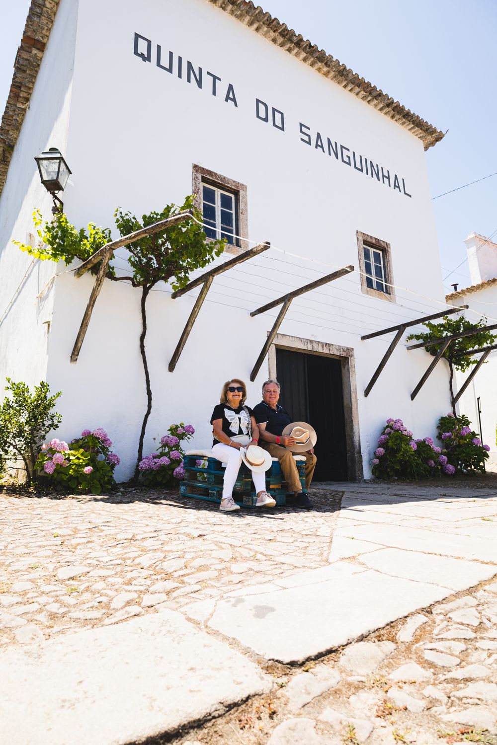 Quinta do Sanguinhal - Guided Estate Tour &amp; Meal