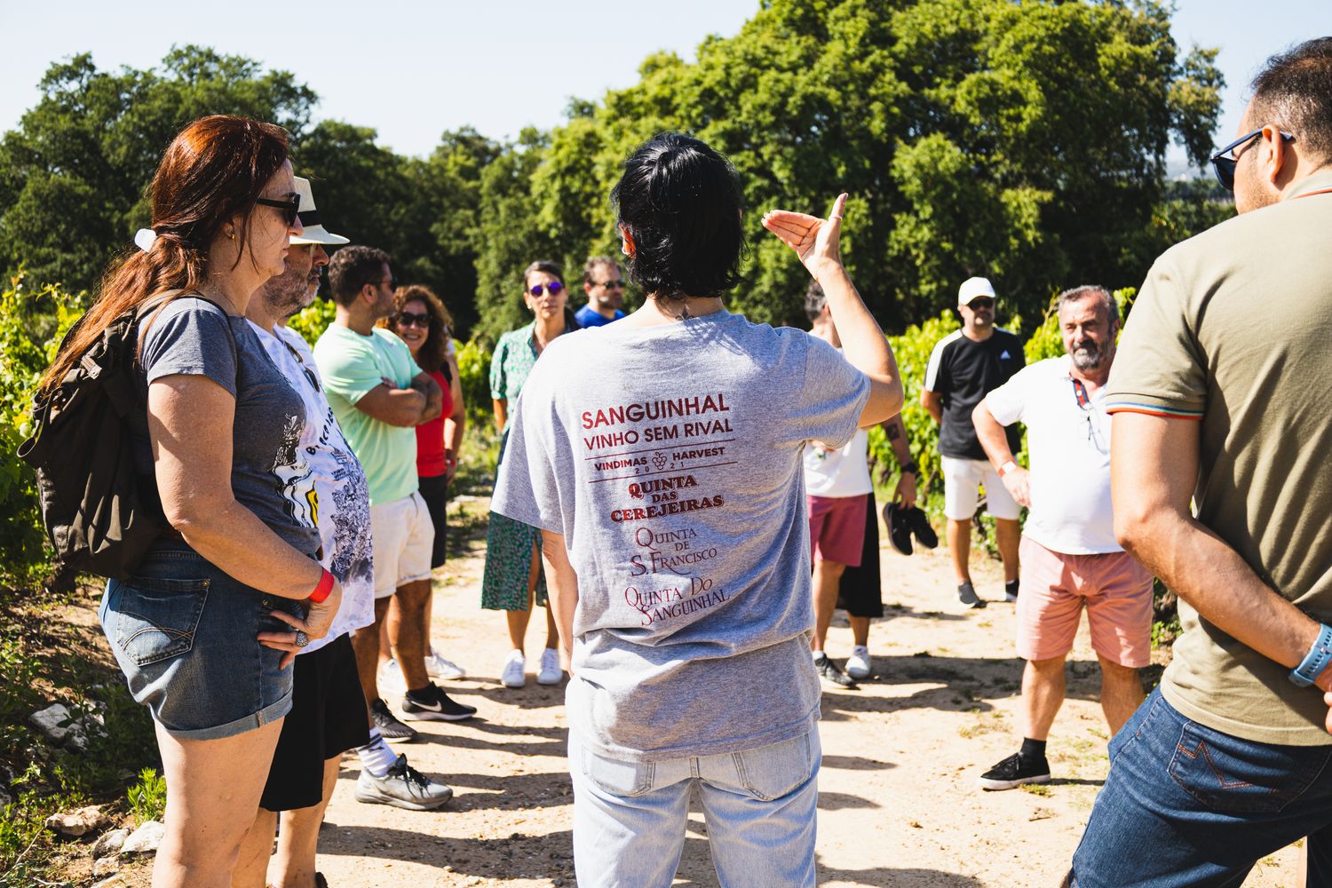 Quinta do Sanguinhal - Guided Estate Tour