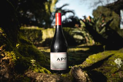 RED WINES