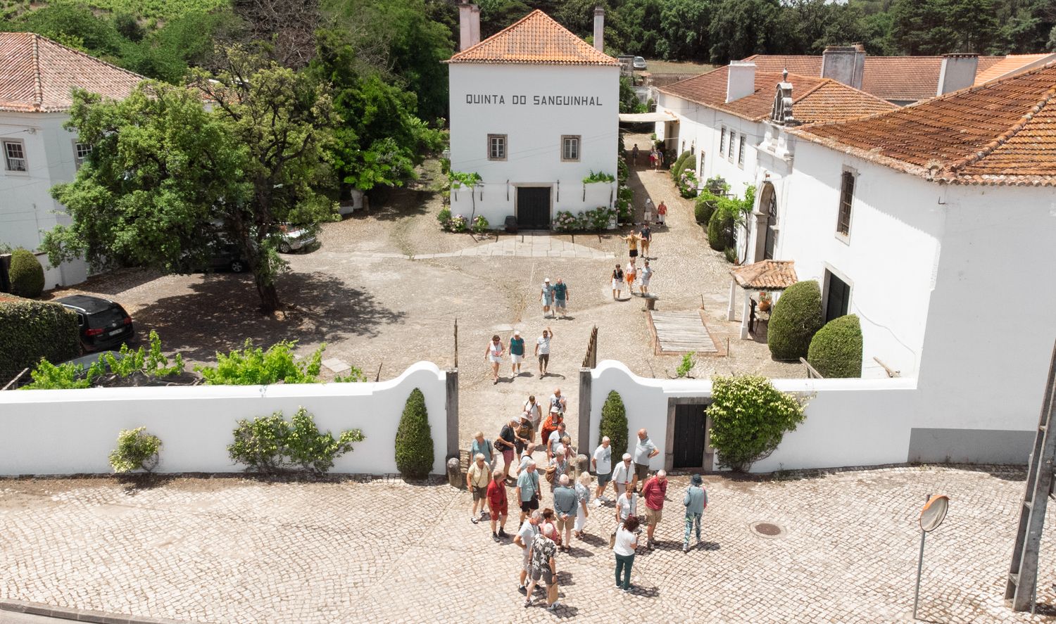 Quinta do Sanguinhal - Guided Estate Tour Quinta do Sanguinhal - Guided Estate Tour