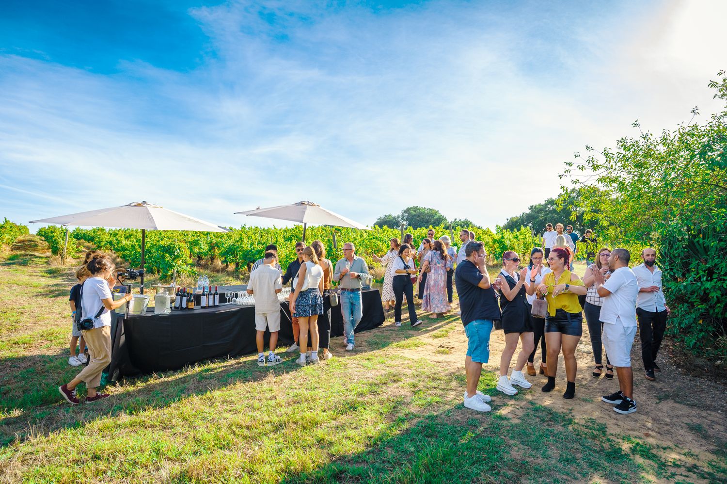 Quinta do Sanguinhal - Guided Estate Tour & Meal Quinta do Sanguinhal - Guided Estate Tour & Meal