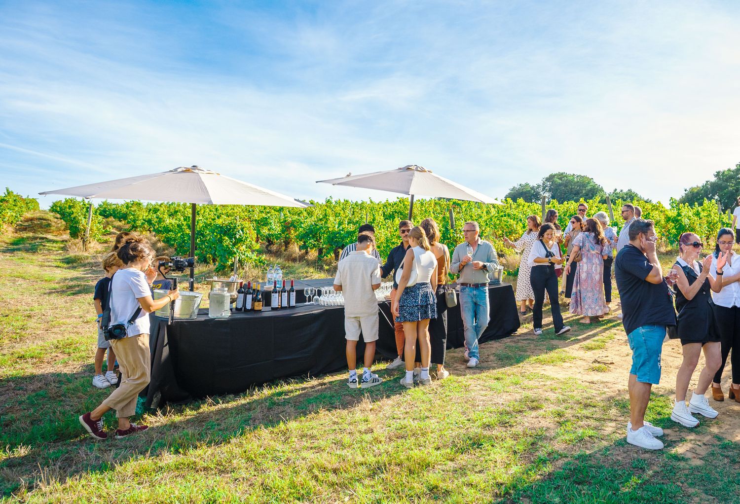Quinta do Sanguinhal - Guided Estate Tour & Meal Quinta do Sanguinhal - Guided Estate Tour & Meal