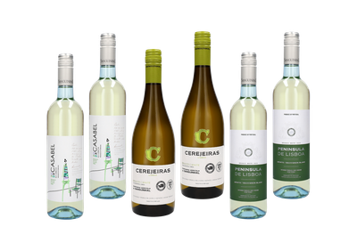 White Wine Selection White Wine Selection