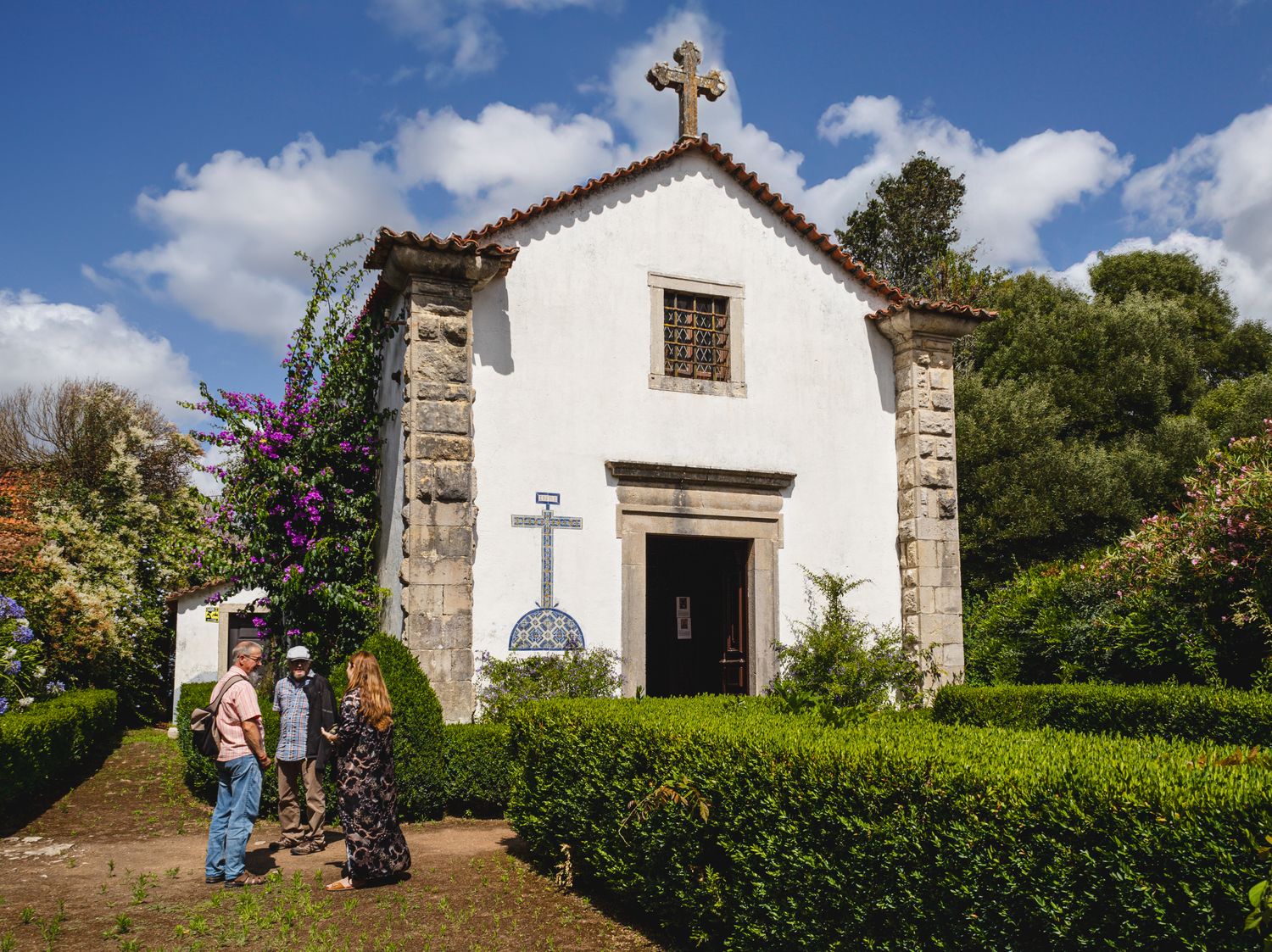 Quinta das Cerejeiras - Guided Estate Tour