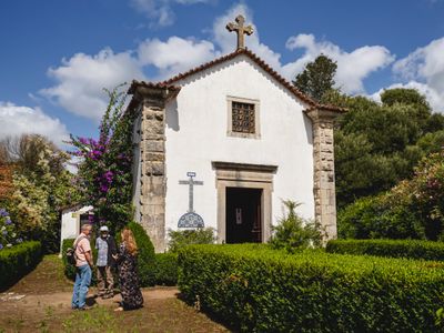 Quinta das Cerejeiras - Guided Estate Tour
