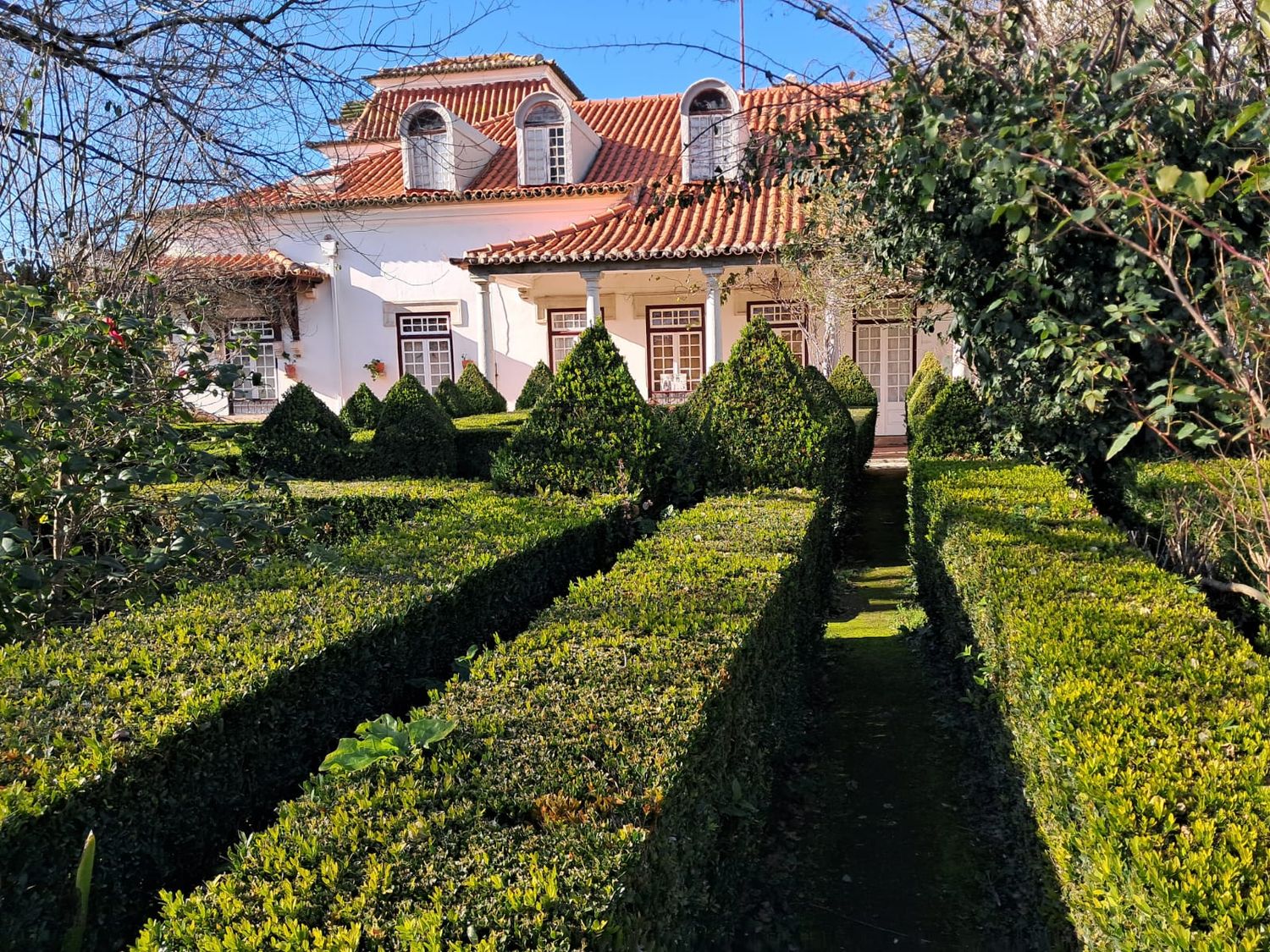 Quinta das Cerejeiras - Guided Estate Tour