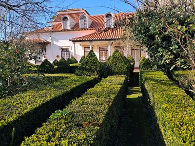 Quinta das Cerejeiras - Guided Estate Tour