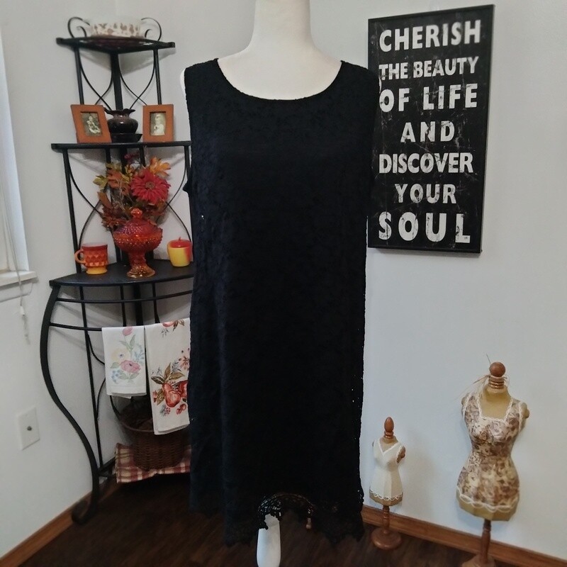 Alfani XL Women&#39;s Black Lace Lined Scoop Neck Sleeveless Stretchy Shift Dress