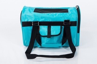 Jet Cat Carrier - Aqua
