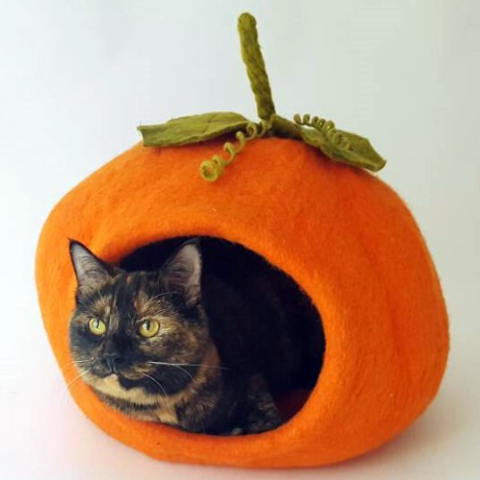 Wool Pumpkin Bed
