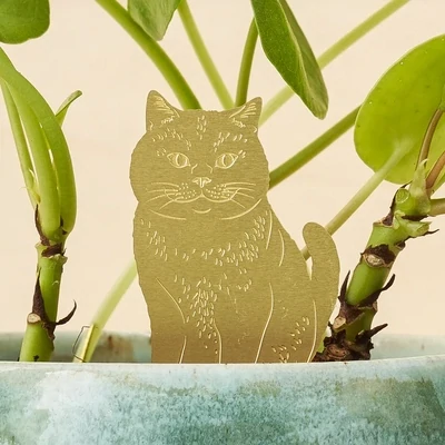 Cat Plant Animal
