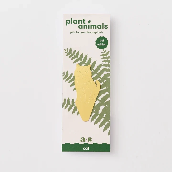 Cat Plant Animal