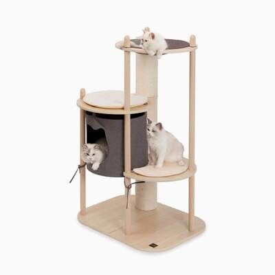 Scratchers and Cat Trees