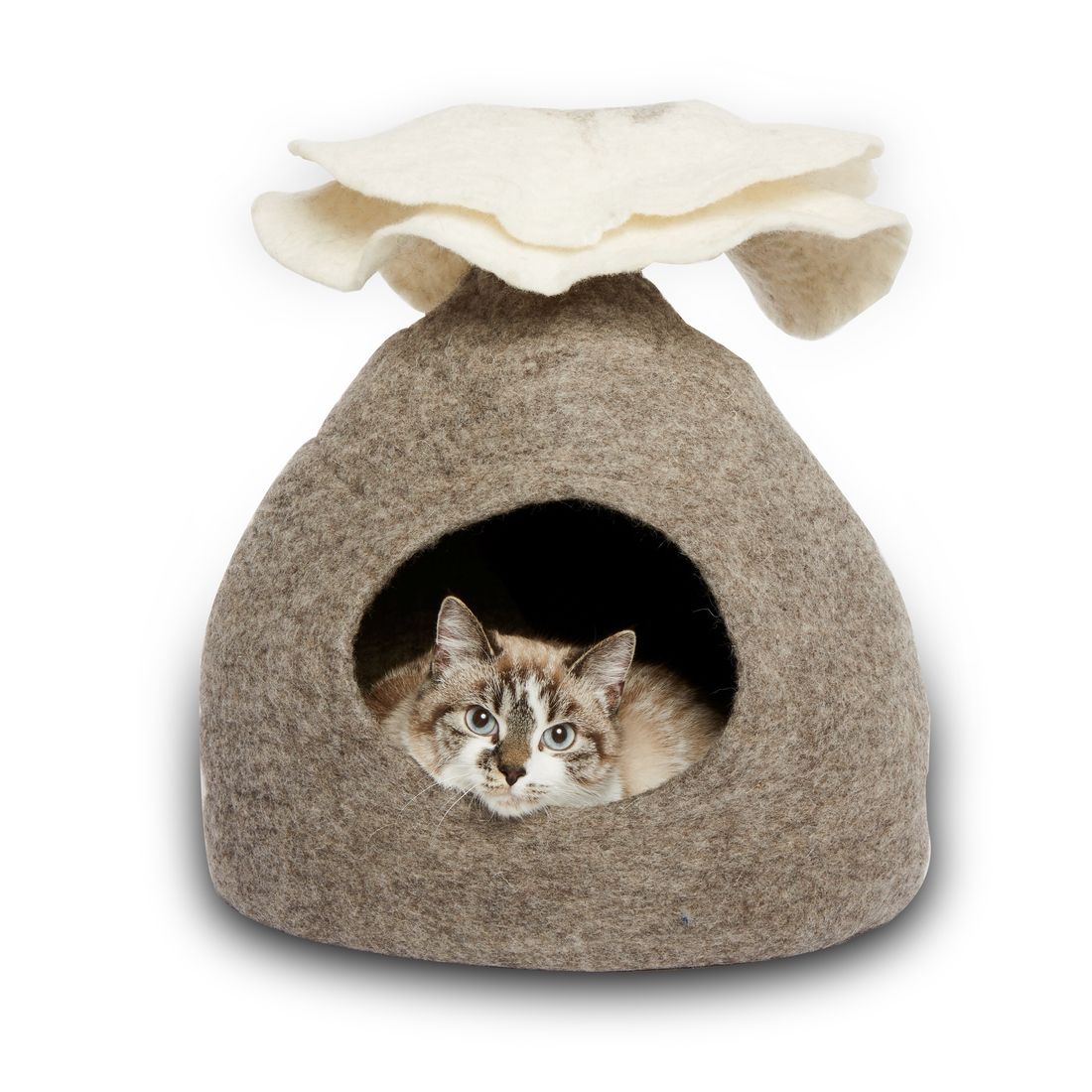 Cat Cave - Bouquet