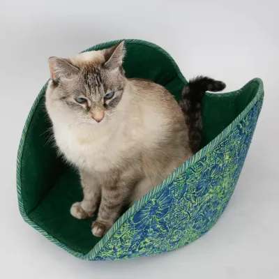 The Jumbo Cat Canoe