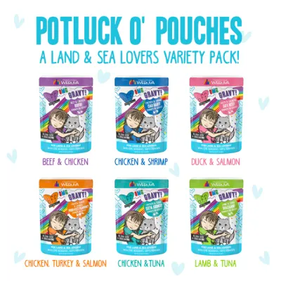 BFF OMG Potluck O' Pouches Variety Pack