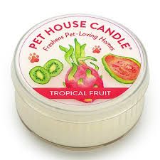 Pet House Candles - Tropical Fruit Scent