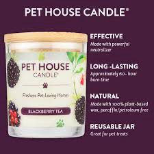 Pet House Products - Blackberry Tea Scent, Product: 9oz candle