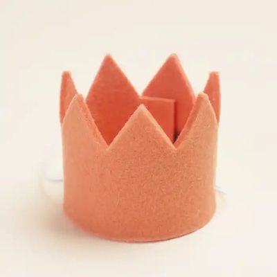 Party Beast Wool Felt Crown
