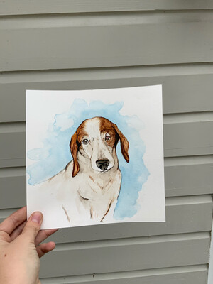 Watercolor Pet Portrait (8x8)