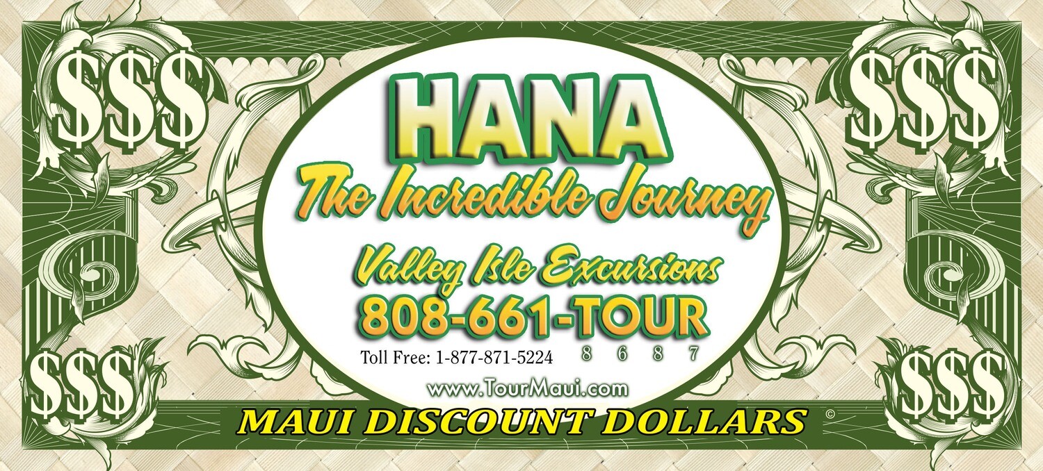 Hana Tour Sample Ad