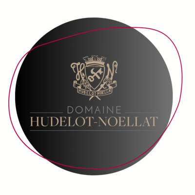DOMAINE HUDELOT-NOELLAT | Dinner
