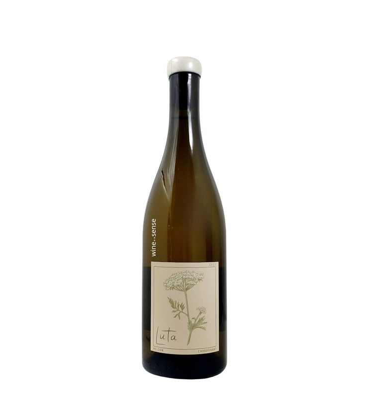 Luta Zephyr, Chardonnay