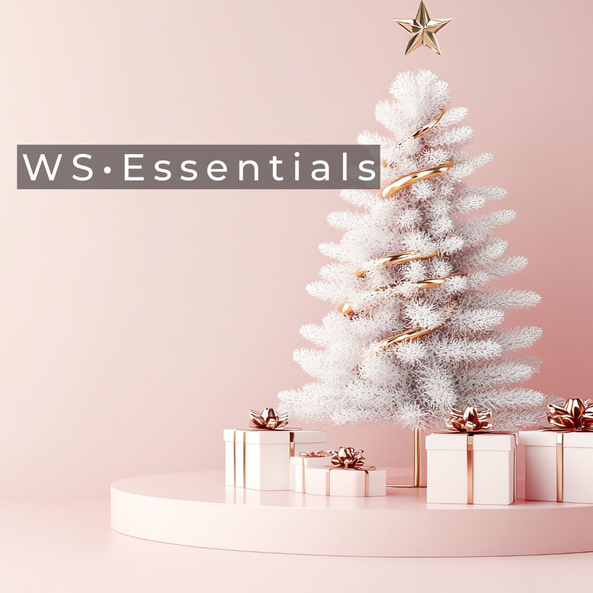 WS Essentials • Holidays WS Essentials • Holidays