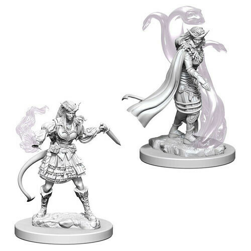 Tiefling Female Sorceror 73202