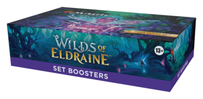 Wilds Of Eldraine Set Booster Box