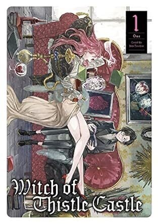 Witch Of Thistle Castle Vol 1
