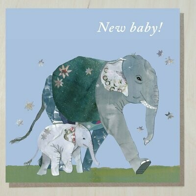OWND233 New baby (elephants)