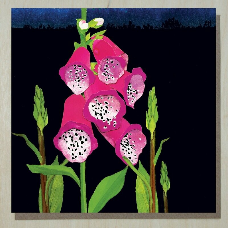 AWND274 Foxglove (digitalis purpurea)