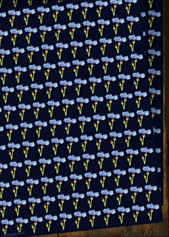 CWNDG21 Cornflower Gift Wrap (20 sheets)