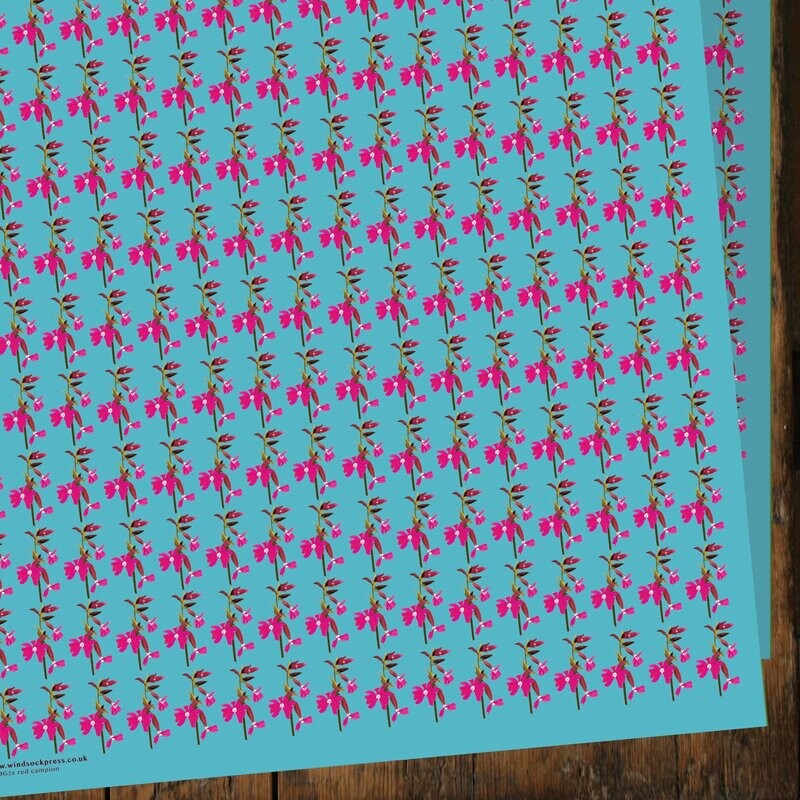 EWNDG26 Campion Gift Wrap (20 sheets)