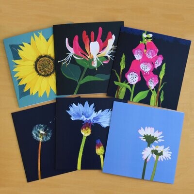 Wild and Garden Flower Cards (Mixed Pack of 6)
