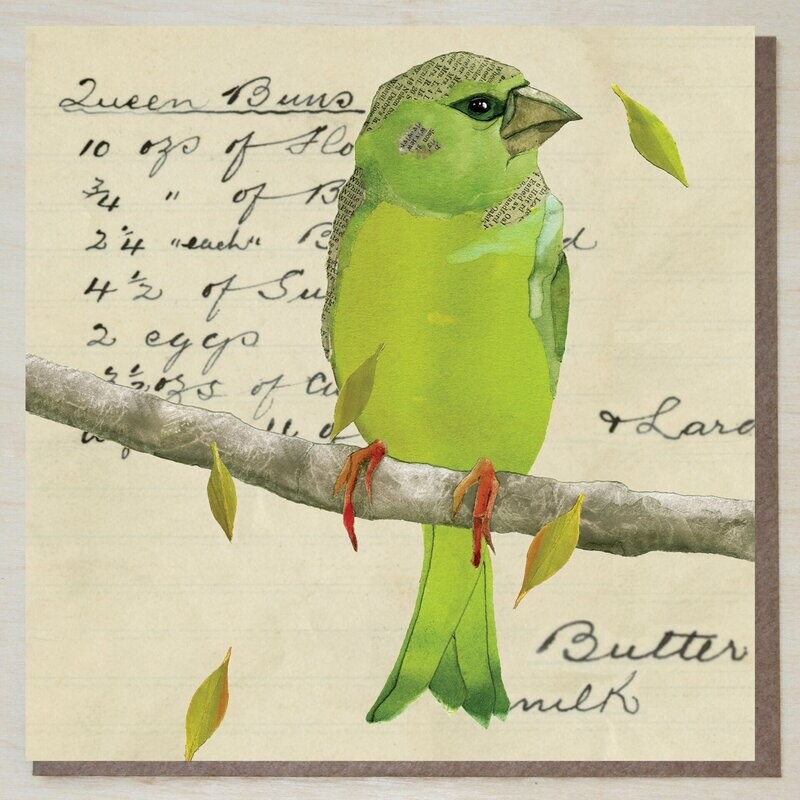 IWND338 Greenfinch on Queen Buns