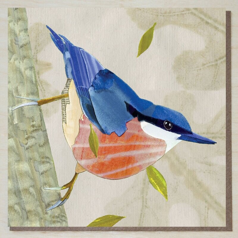 FWND314 Nuthatch