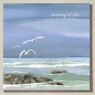 EWND297 Thinking of You (seabirds)