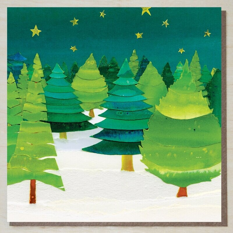 AWND358 Starry Night