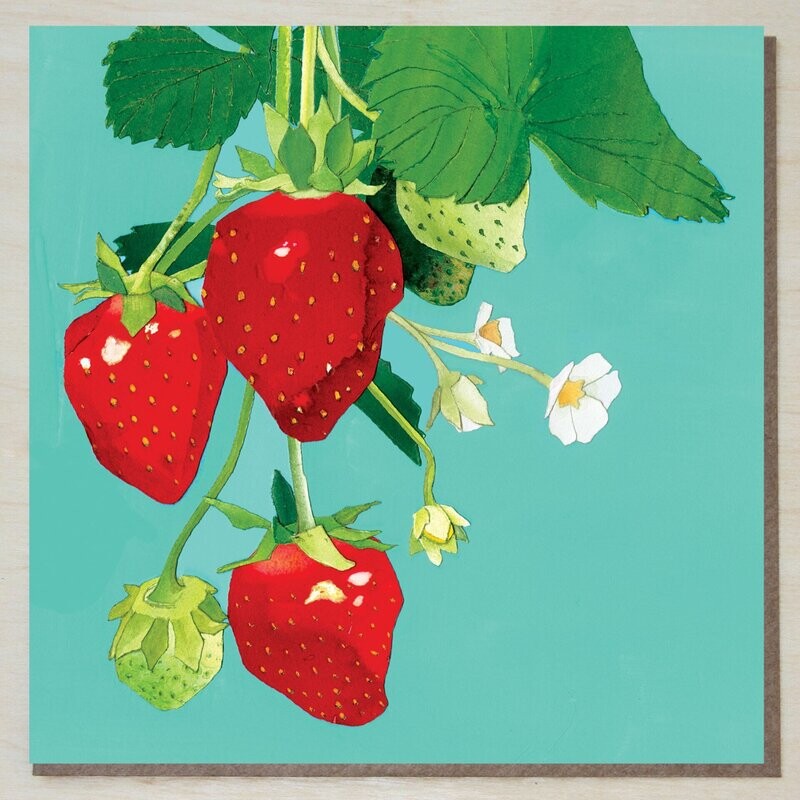 BWND362 Strawberries