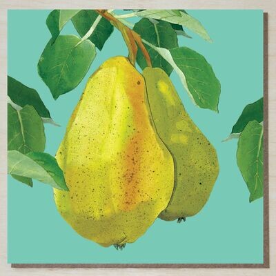 DWND365 Pears