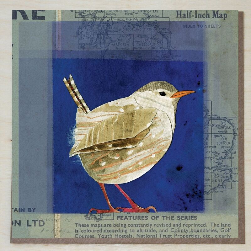 IWND309 Wren