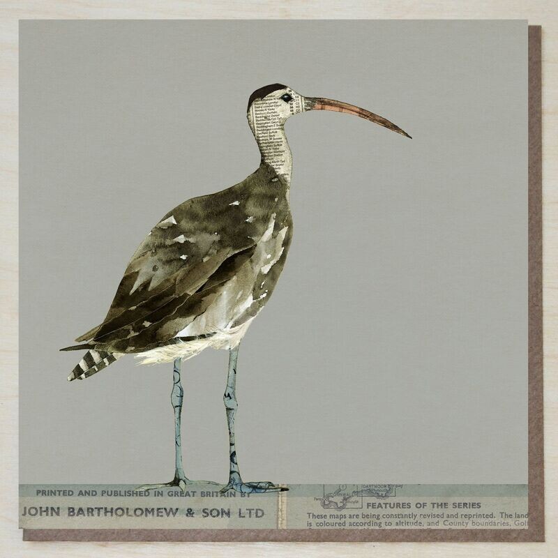 BWND395 Curlew on map