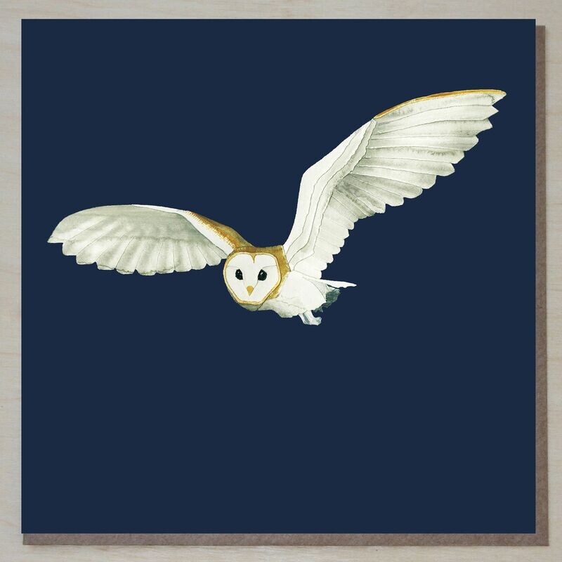 JWND216 Ann's Owl