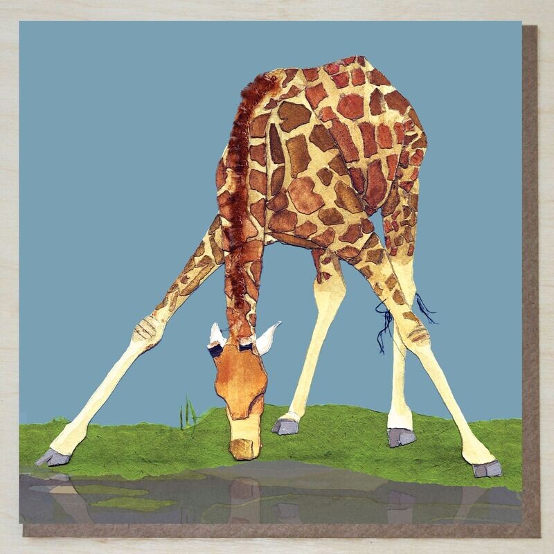 BWND421 Giraffe