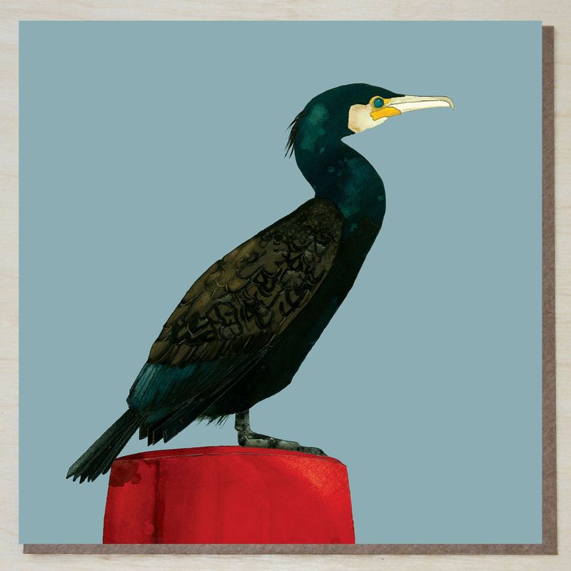BWND424 Cormorant